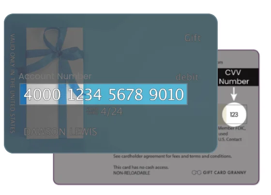 How to Check and Manage Virtual Visa Gift Card Balance?